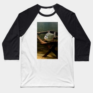 Silver fish in the water Baseball T-Shirt